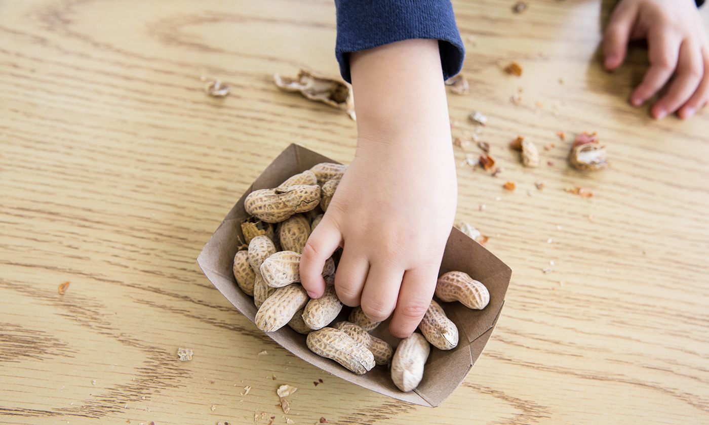 Child eating peanuts