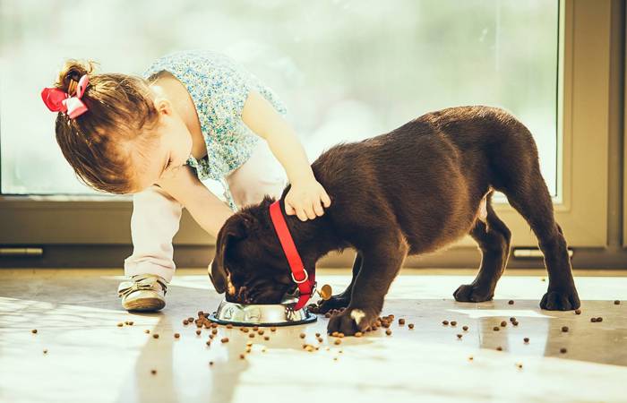 Little girl feeding her puppy