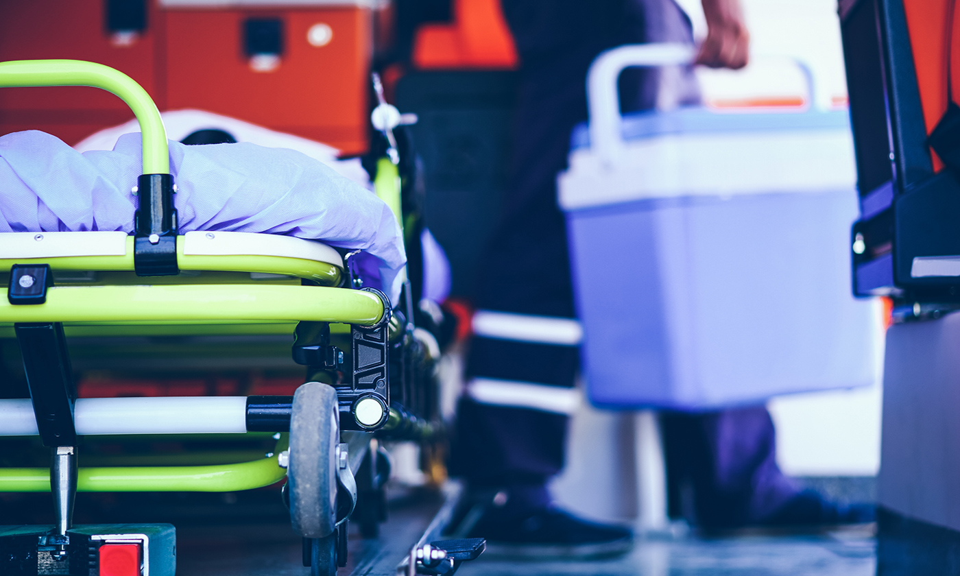 Human organ transplantation