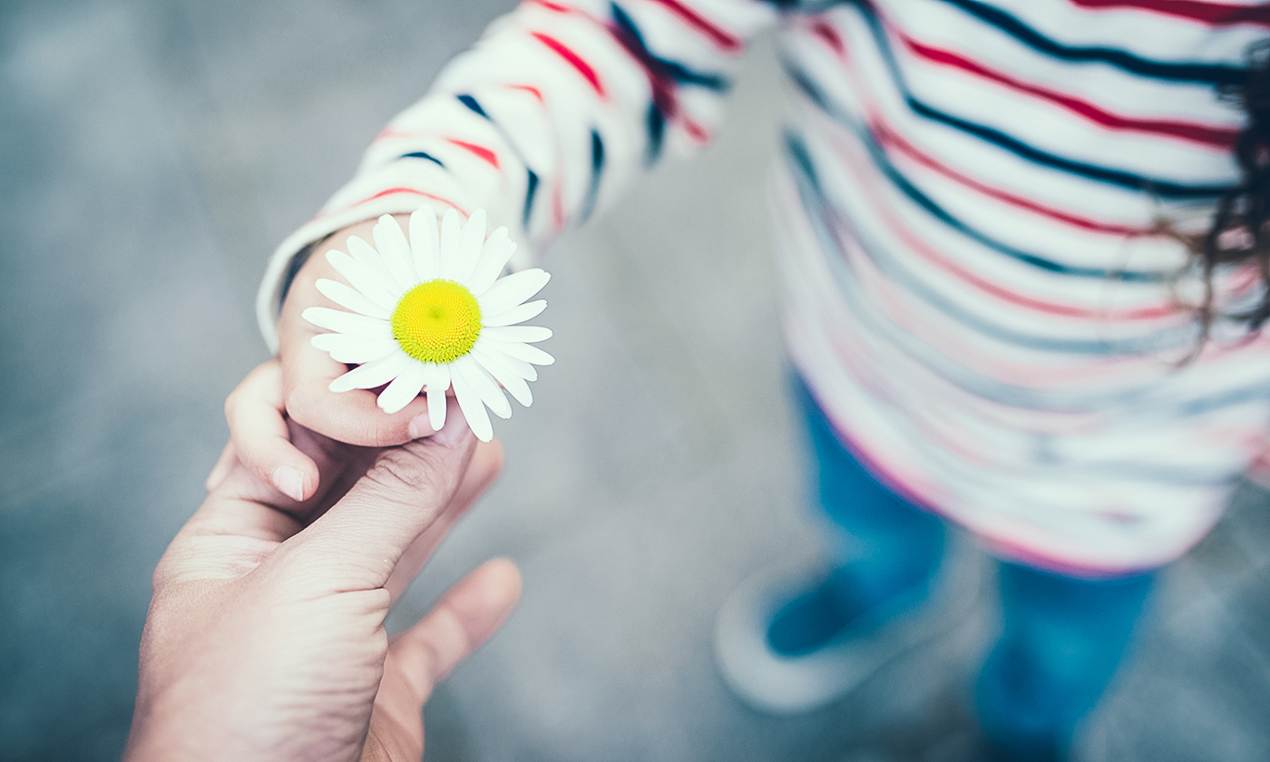 Parent and child hands handing white flower