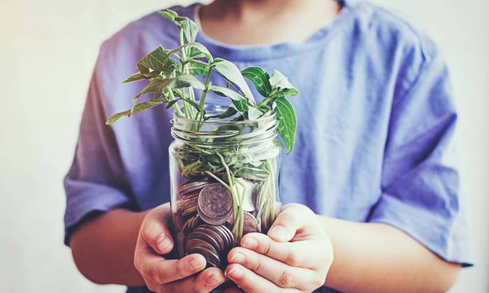 child holding small green plant